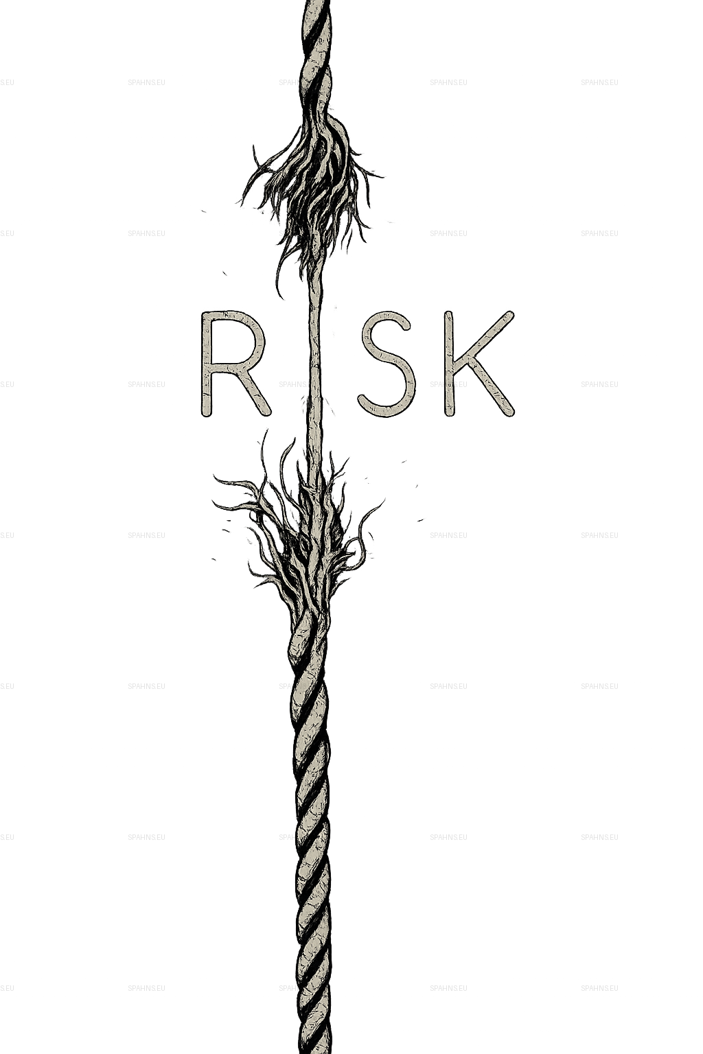 Risk