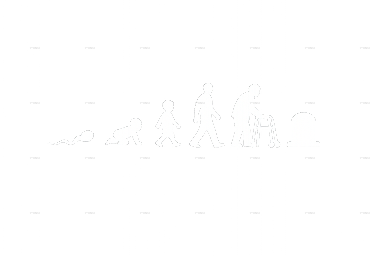 Full Evolution